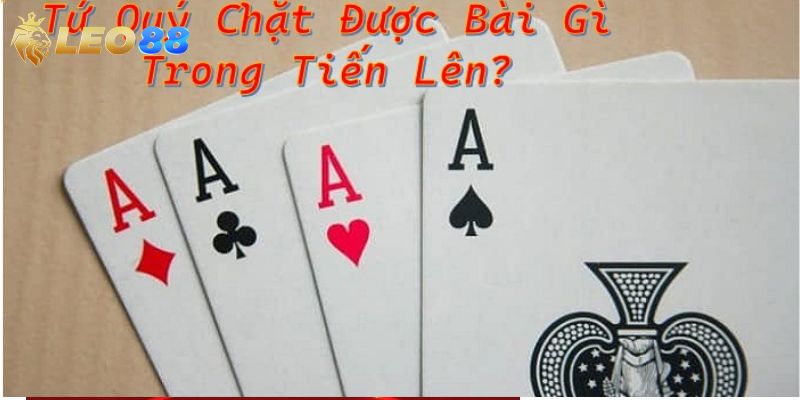 Thông tin về tứ quý - Tìm hiểu chi tiết 